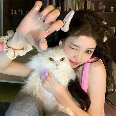 键盘猫